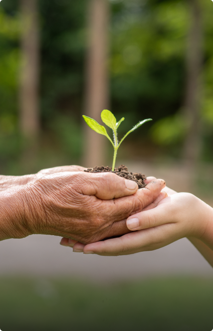 Sustainability Fyba